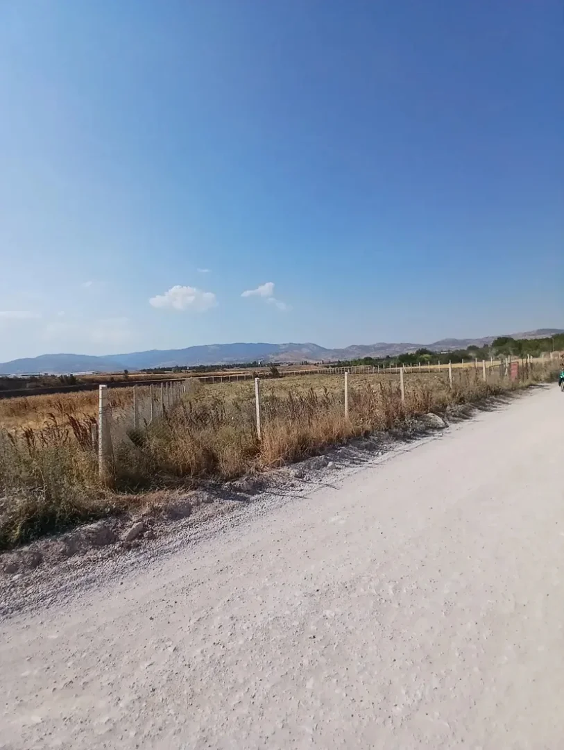 Organize sanayi arkası -Tarla-