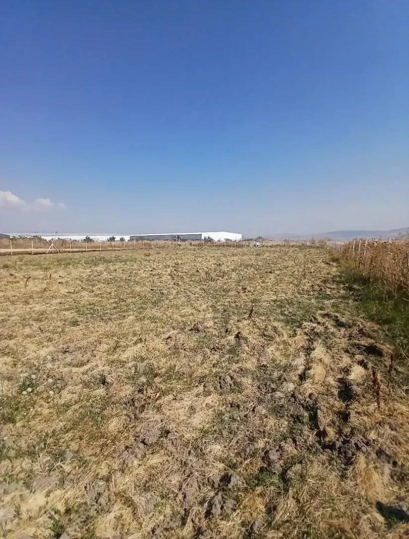 Organize sanayi arkası -Tarla-