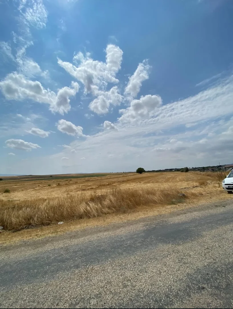 Karamustafapaşa Mahallesin’de Yatırımlık Tarla