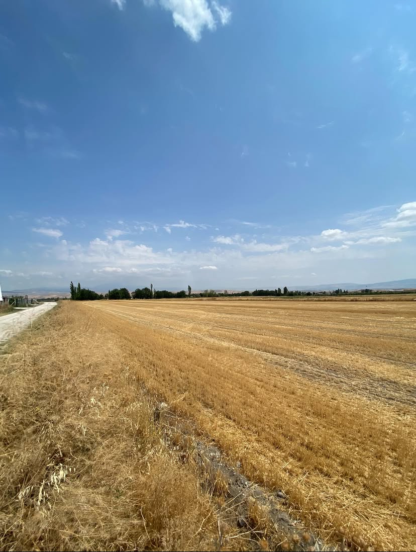 Karamustafapaşa Mahallesin’de Yatırımlık Tarla