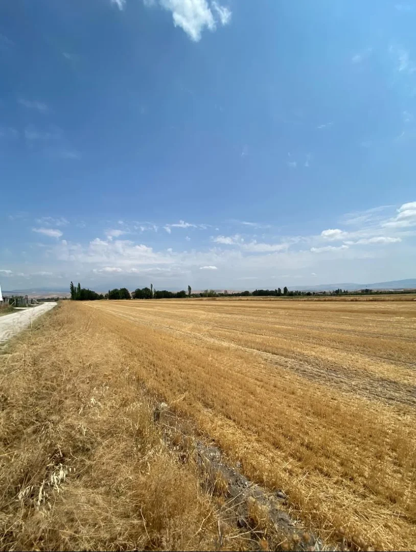 Karamustafapaşa Mahallesin’de Yatırımlık Tarla