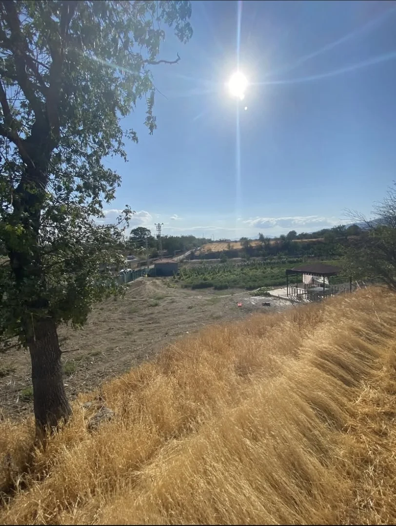 Nusretiye Mahallesi Çalıgöz Sokakta Yol Kenarı BAĞ