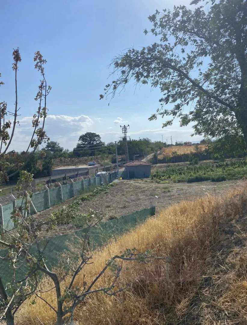 Nusretiye Mahallesi Çalıgöz Sokakta Yol Kenarı BAĞ