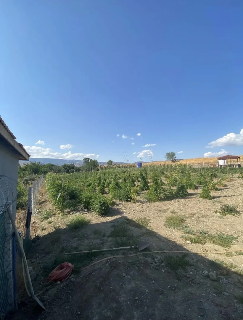 Nusretiye Mahallesi Çalıgöz Sokakta Yol Kenarı BAĞ