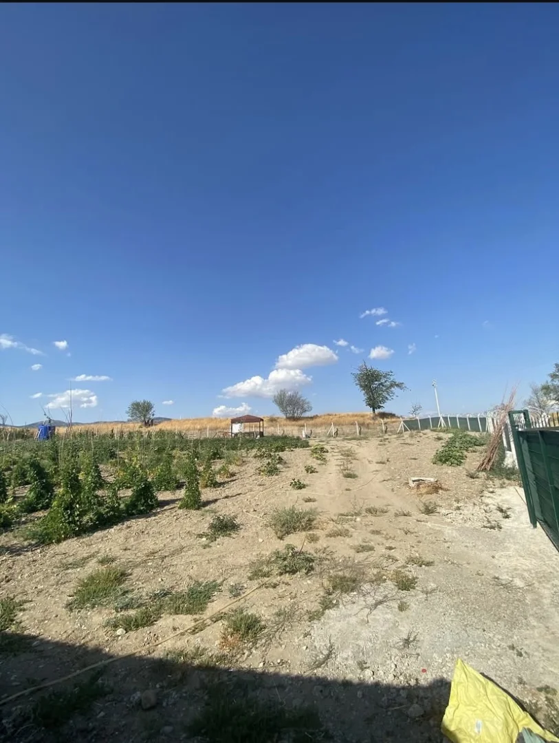 Nusretiye Mahallesi Çalıgöz Sokakta Yol Kenarı BAĞ