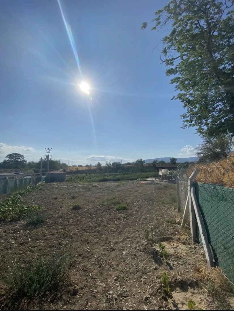 Nusretiye Mahallesi Çalıgöz Sokakta Yol Kenarı BAĞ