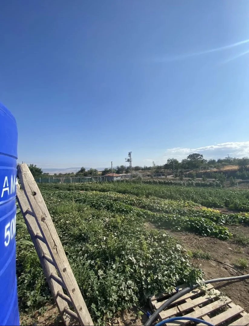 Nusretiye Mahallesi Çalıgöz Sokakta Yol Kenarı BAĞ