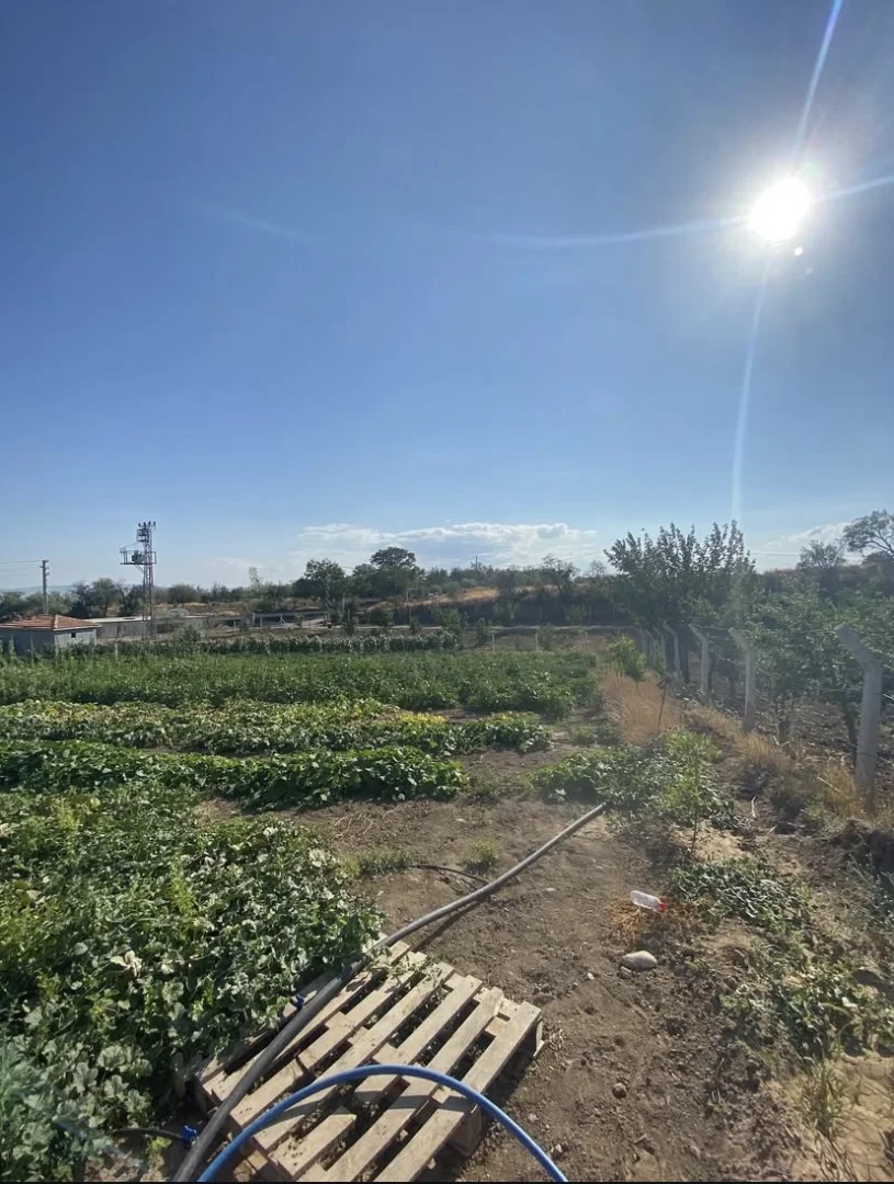 Nusretiye Mahallesi Çalıgöz Sokakta Yol Kenarı BAĞ