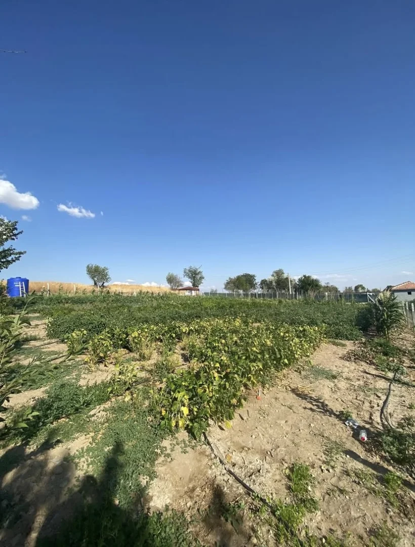 Nusretiye Mahallesi Çalıgöz Sokakta Yol Kenarı BAĞ