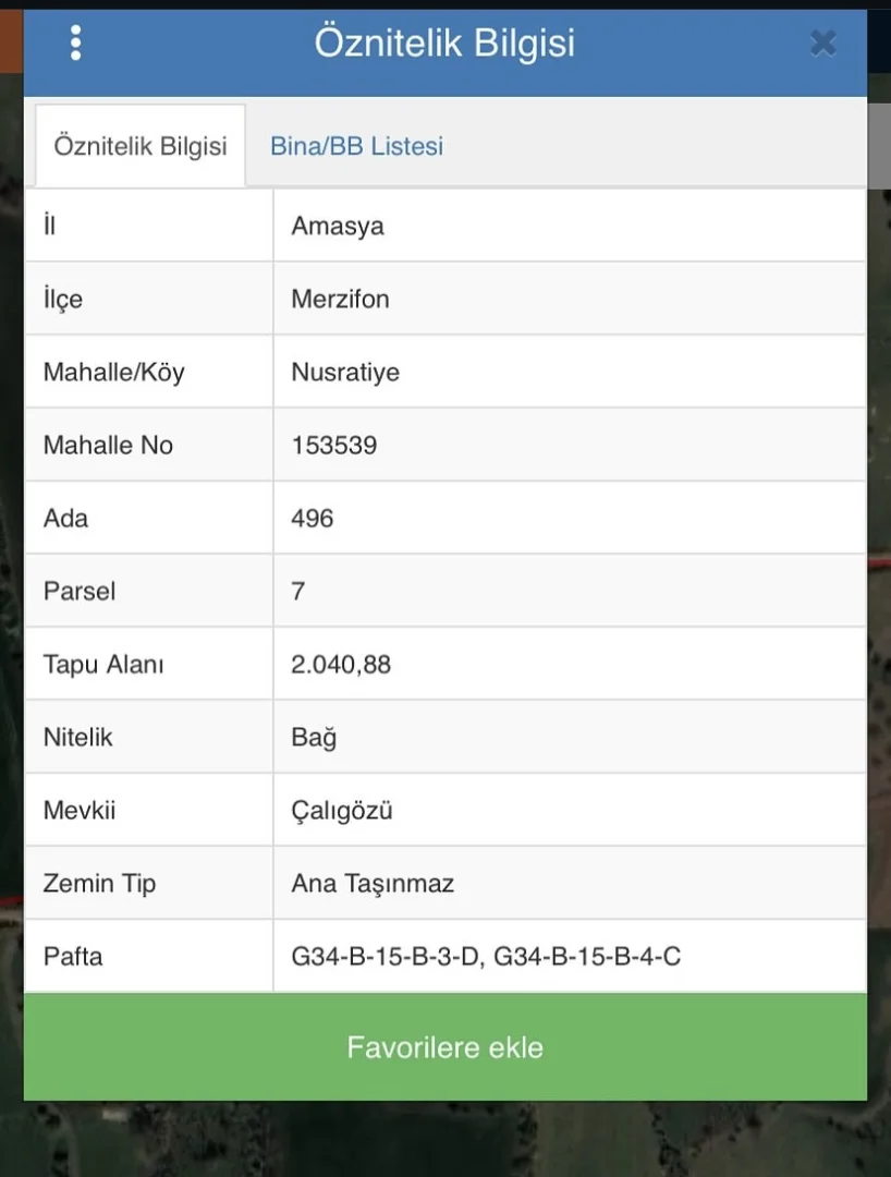Nusretiye Mahallesi Çalıgöz Sokakta Yol Kenarı BAĞ