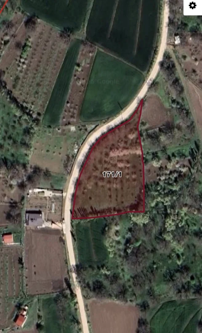 KARAMUSTAFFA PAŞA KÖYÜ (MARINCA) YATIRIMLIK BAĞ